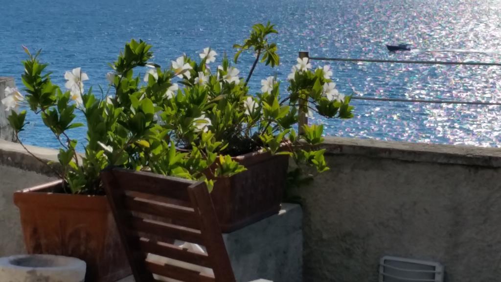 Le Sirene Bed & Breakfast Tellaro Bagian luar foto